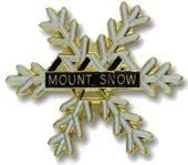 Ski resort pins