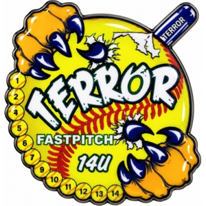AFA Fastpitch pins