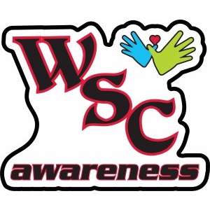 Illness awareness pins