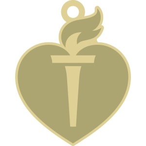 Custom awareness pins