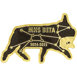 Beta Club pins Beta Club pins