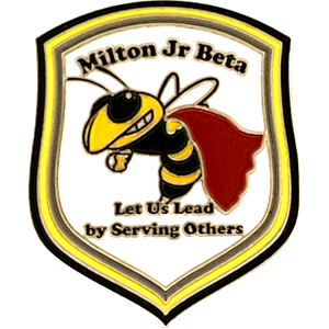 Beta Club convention pins Beta Club convention pins