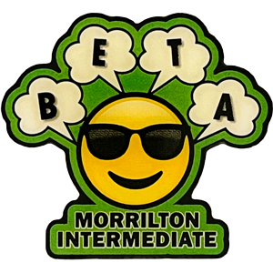Junior Beta Club pins Junior Beta Club pins