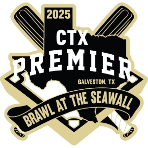 Brawl at the Seawall pin