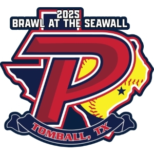 Brawl at the Seawall pin
