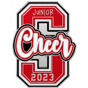 Cheer squad pin