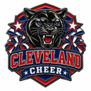 Cheer squad pins