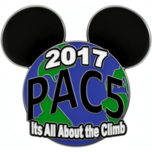 Cheer competition pins