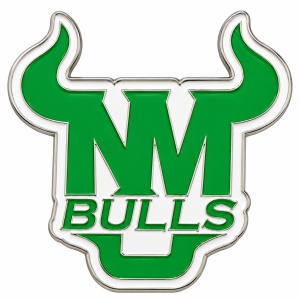 Custom cheer pins