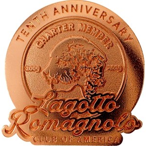 custom lapel pin die struck shiny copper awards
