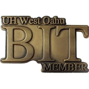custom lapel pin die struck for membership pins
