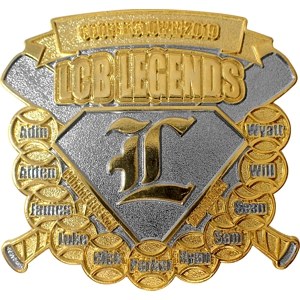 custom lapel pin die struck with dual plating