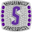 Custom Team Rings 3D Art