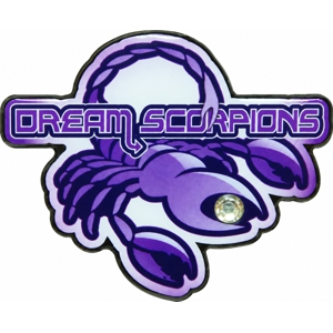 Destination Imagination trading pins