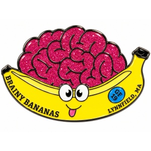 DI team pin