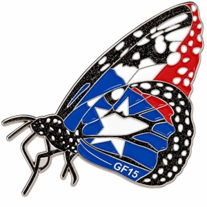 Custom Destination Imagination team pins
