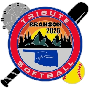 FASA World Series pin