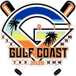 FASA World Series pin