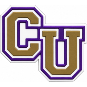 Custom football team trading pin