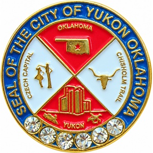 Custom government pins