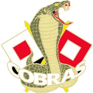 Custom military unit pins