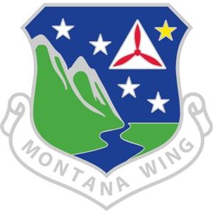 Unit crest pins