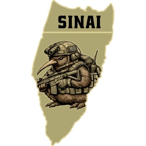 Military unit pins