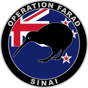 Custom military unit pins