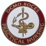 Custom nurse pins