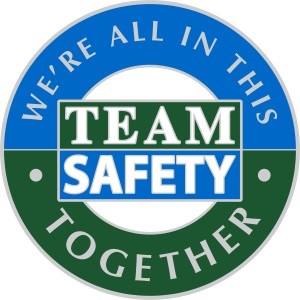 Custom safety award pins