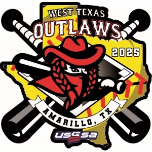 Custom USA Softball pin