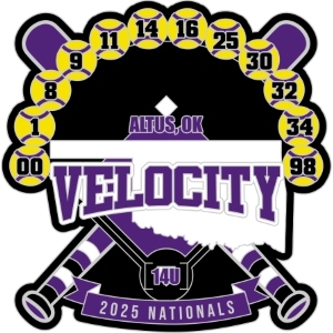Custom USA Softball pin