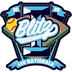 USA Softball pin