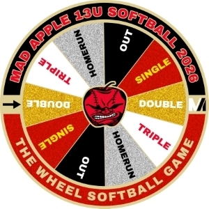 USA Softball pin