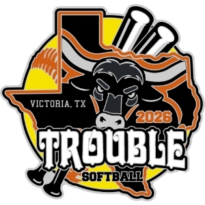 USA Softball trading pins