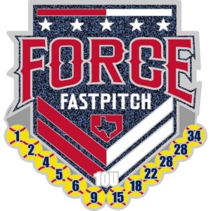 USA Softball trading pin