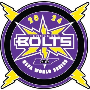 PCB World Series pin