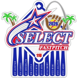 USFA World Series trading pin
