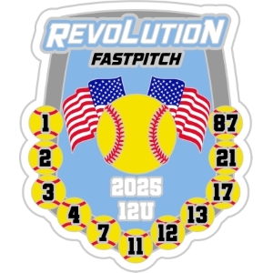 Gulf Coast Nationals pin