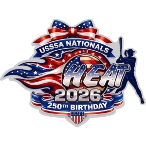Gulf Coast Nationals pin