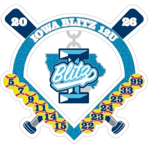 Gulf Coast Nationals trading pin
